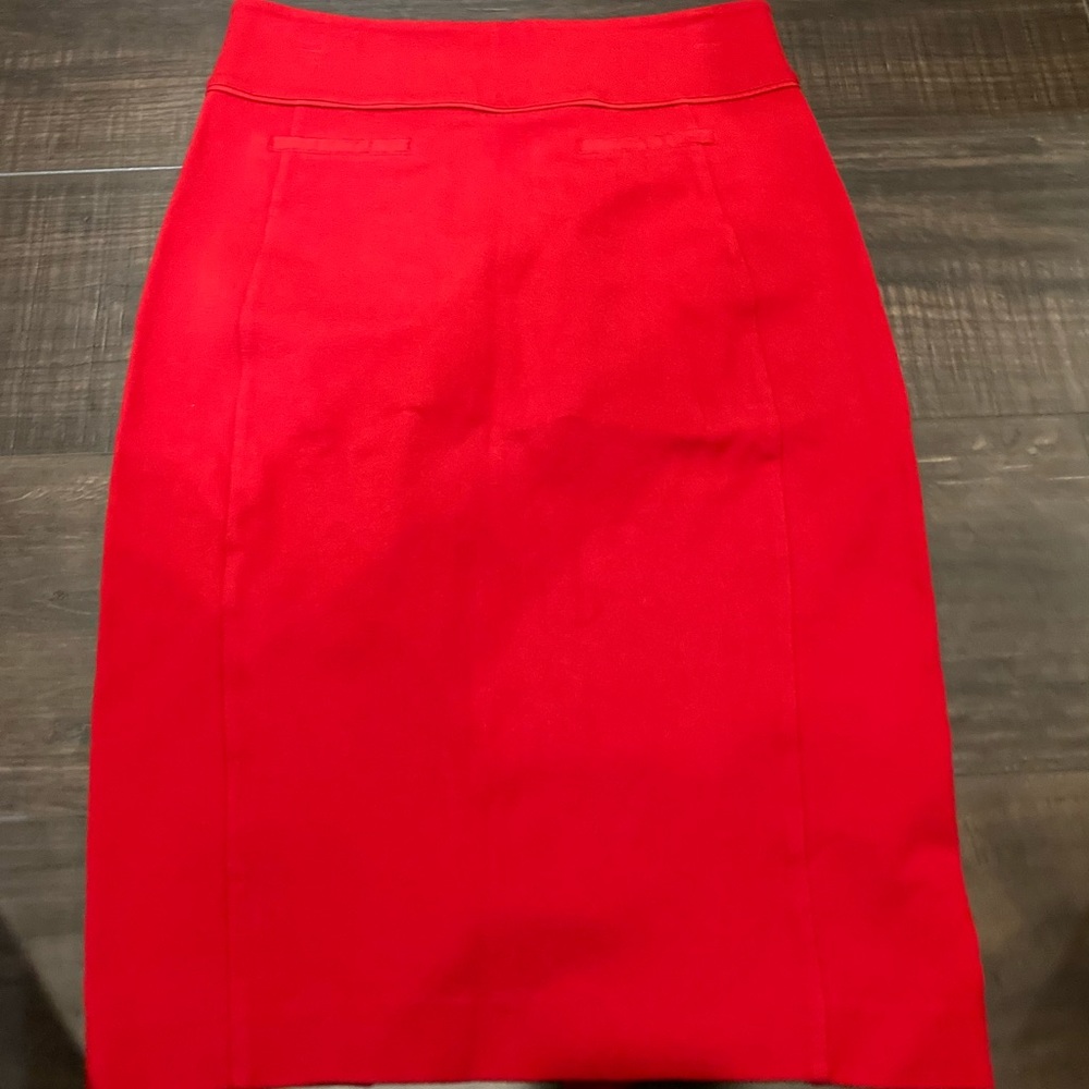 Express Skirt